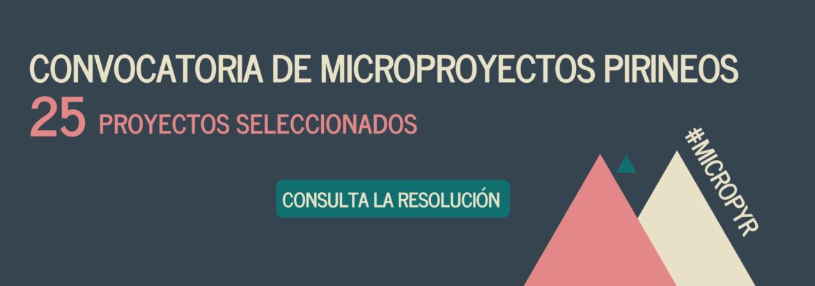 Microproj_Banner_Result_ES